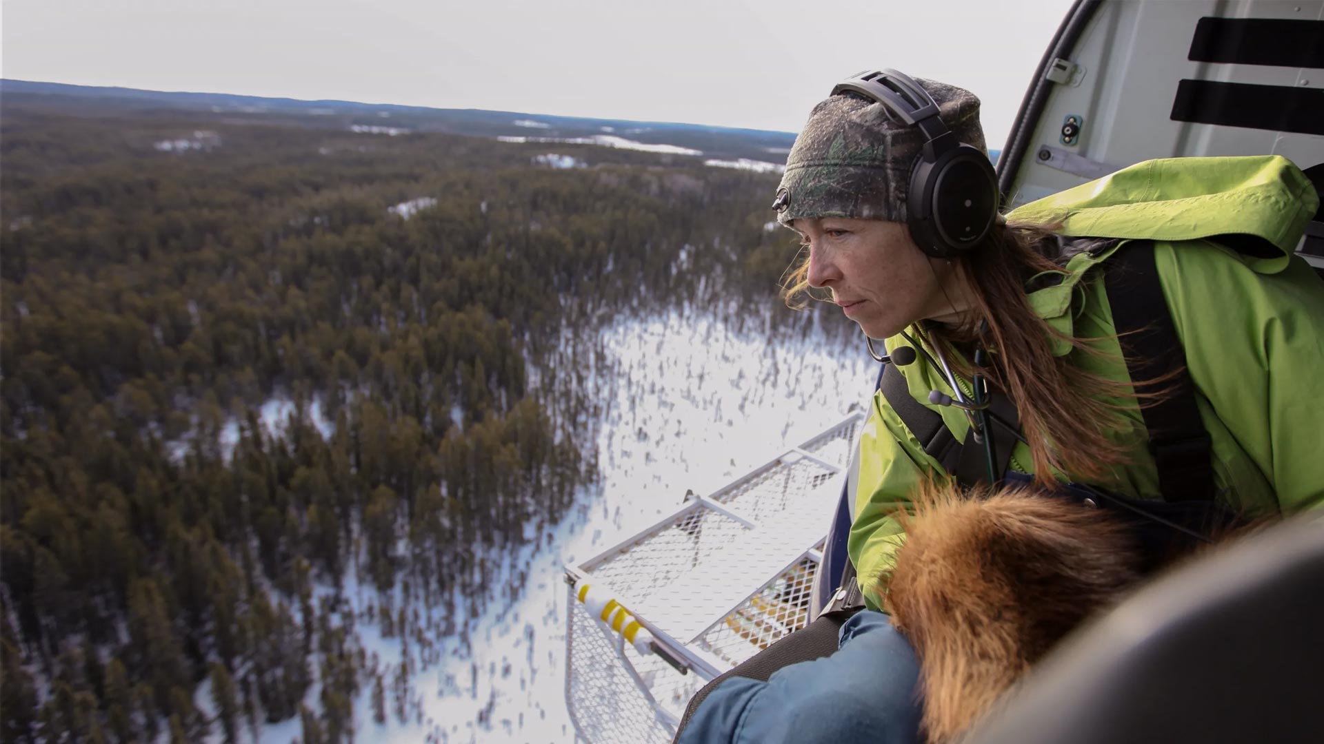 Dr. Oakley: Yukon Vet